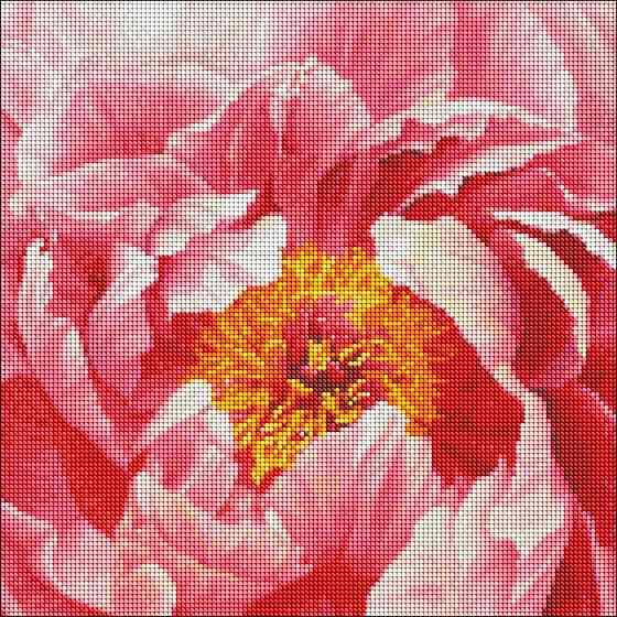 Алмазна мозаїка "Барвиста півонія" Ідейка AMO7273 40х40 см Вінниця