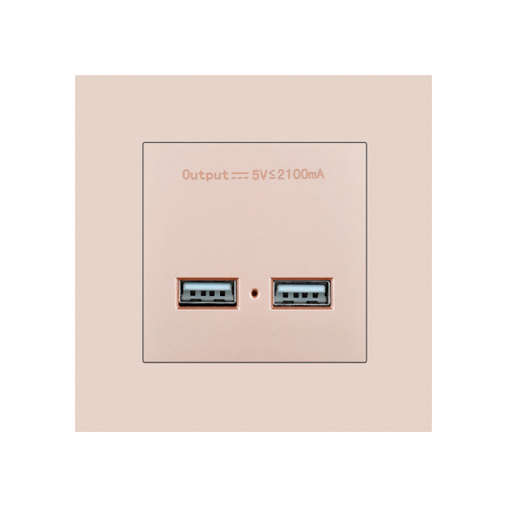 USB розетка SRAN 2xUSB 5V 2.1A gold Київ