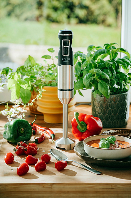 Блендер Adler AD 4628 ручний/ 1500Вт/ 1 швидк./ без чаші/ Turbo/ Ice Crush/ чорний Вінниця - фото 10