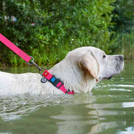 Ошейник для собак водостойкий WAUDOG Waterproof c QR паспортом, пластикова пряжка-фастекс, Ш 25 мм, Дов 38-58 см, рожевий Київ
