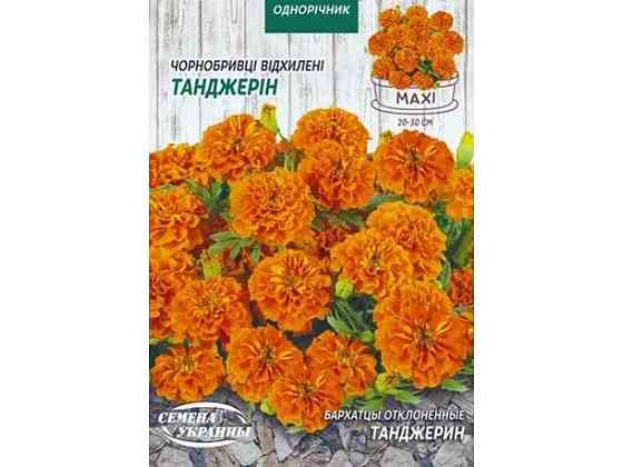 Максі Чорнобривці відхил. ТАНДЖЕРИН 5г (10 пачок) ТМ НАСІННЯ УКРАЇНИ Київ