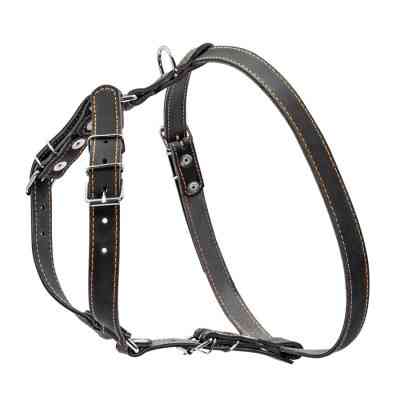 Шлея для собак Collar одинарна для малих та середніх порід Ш 20 мм А:40-56 см В:57-65 см чорна (06361) Вінниця