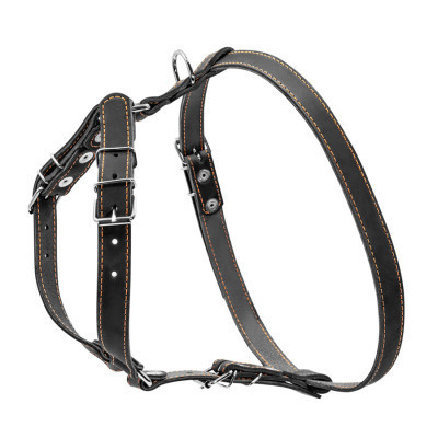 Шлей для собак Collar одинарная для малых и средних пород Ш 20 мм А:40-56 см В:57-65 см черная (06361) Винница - изображение 2