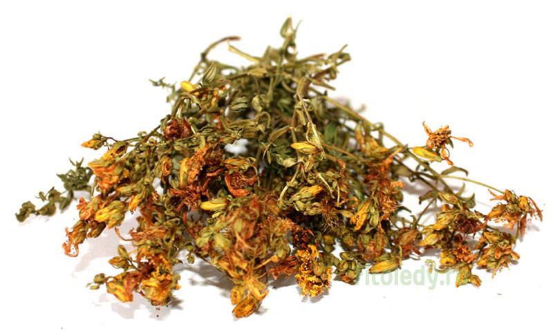 Зверобой (трава с цветками), 100г. MasterSEM Киев - изображение 1