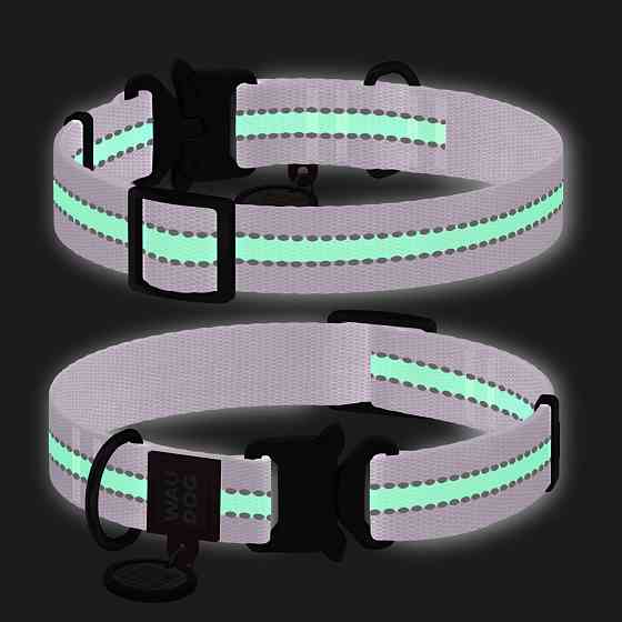 Нашийник для собак нейлоновий WAUDOG Nylon з QR паспортом, світлонакопичувальний/світловідбивни Коломия