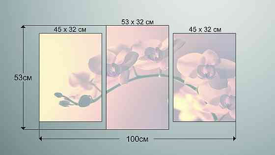 Модульная картина Орхидея Art-216_3 Киев