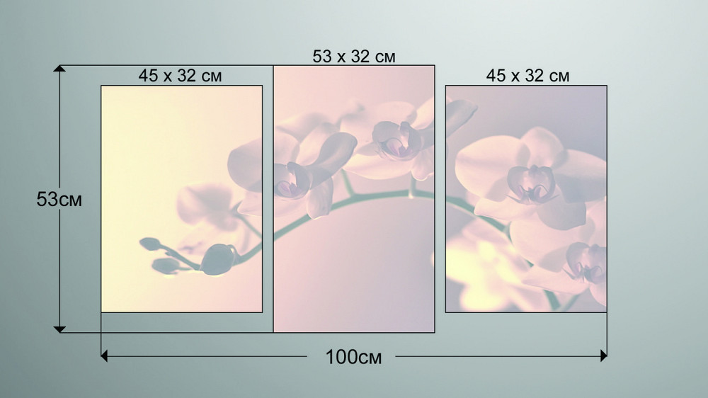 Модульная картина Орхидея Art-216_3 Киев - изображение 3