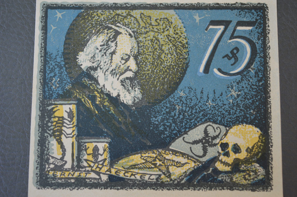 Німеччина. Нотгельд. 75 Pf ( 13 ) Полтава - фото 1