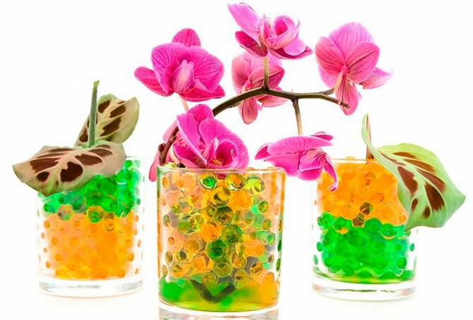 Гідрогель для квітів оранжевий уп 1000 шт Київ - фото 5