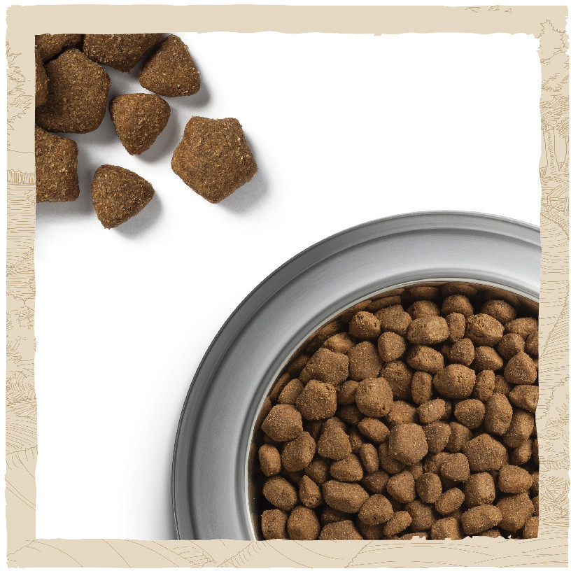 Сухий корм DOG CHOW Adult 1+ для дорослих собак, з ягням, 2.5 кг Київ - фото 4