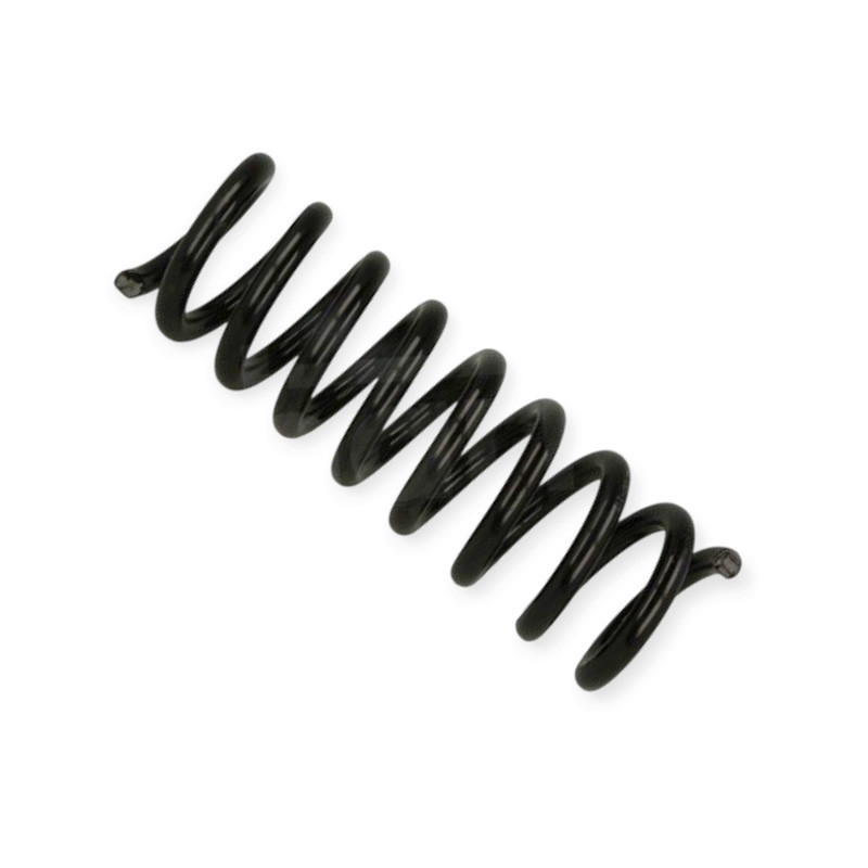 Пружина Mercedes-Benz C-class (S203) 01- (Classic, Elegance) задняя Мукачево - изображение 1