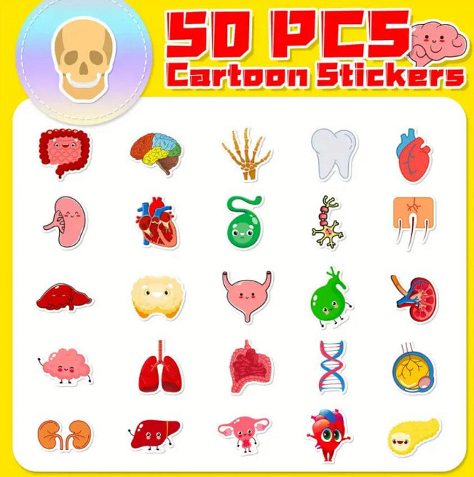 Наклейки органи людини. Водонепроникні вінілові естетичні наклейки для пляшки води, комп'ютера, ноут Київ - фото 3