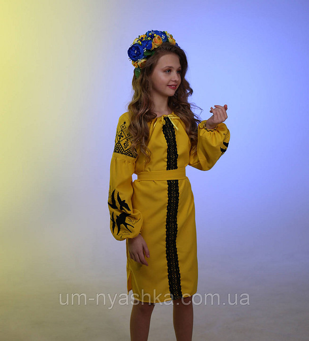 Дитяча вишита сукня з ластівками 104-152 Кривой Рог - изображение 6
