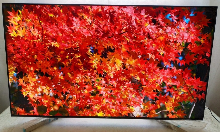 Телевизор Безрамный: 65