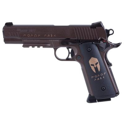 Пневматический пистолет Sig Sauer Air 1911 Spartan 4,5 мм (AIR-1911BB-SPARTAN) Винница - изображение 1