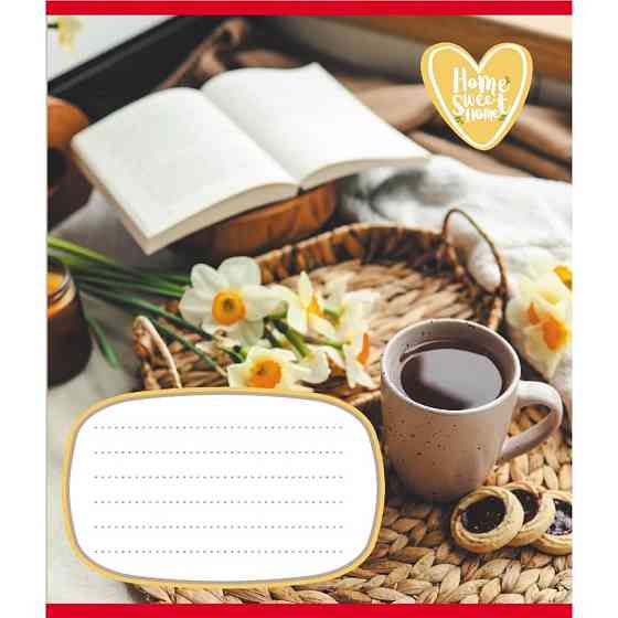 Зошит учнівський "Домашній затишок" 018-540253L-4 в лінію, 18 аркушів Вінниця