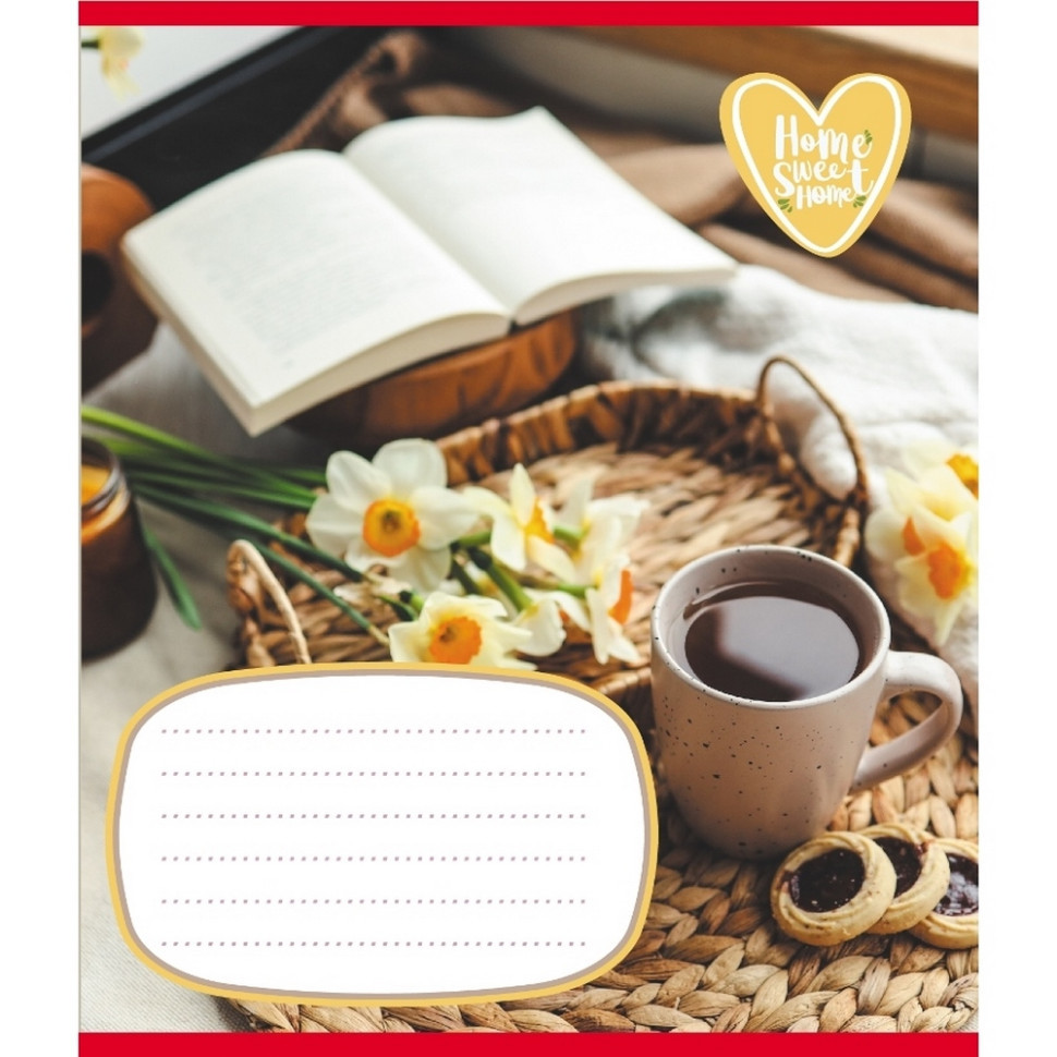 Зошит учнівський "Домашній затишок" 018-540253L-4 в лінію, 18 аркушів Вінниця - фото 1