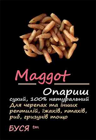 Опариш сухий "Maggot" тм Буся. Корм для черепах, рептилій, їжаків, птахів, гризунів. Пакет 25г Зміїв