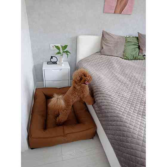 Водонепроникний лежак лежанка спальне місце для тварин зі знімним чохлом коричневий 10074 S (60см) Київ