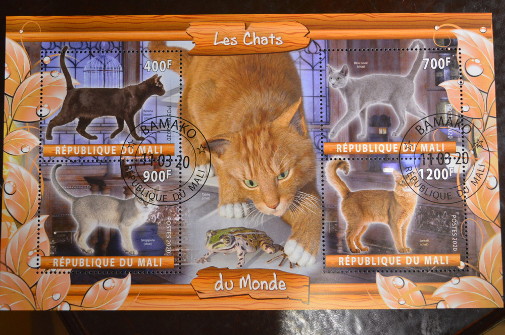 Малі. Марки. Фауна. Блок. 2019 рік (У-2) Полтава - фото 1