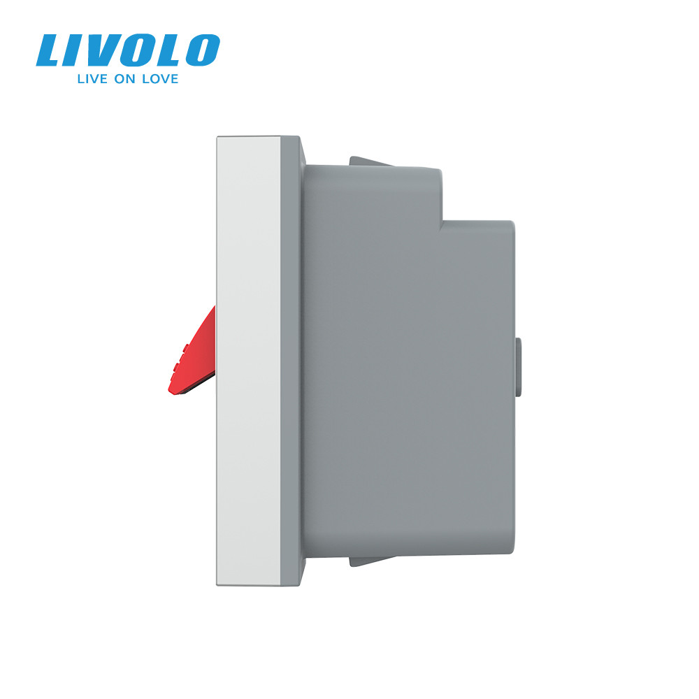 LIVOLO Hi-Fi аудіо розетка LIVOLO (Banana), сіра, для колонок і підсилювачів, модуль 0.5 поста Коломия - фото 8
