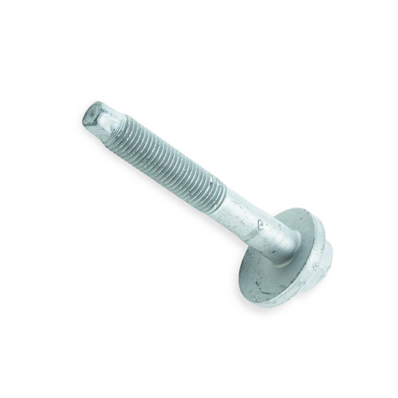 Болт кута розвалу) задн. важеля внут. Фольцваген (регулювання) Мукачево - фото 1