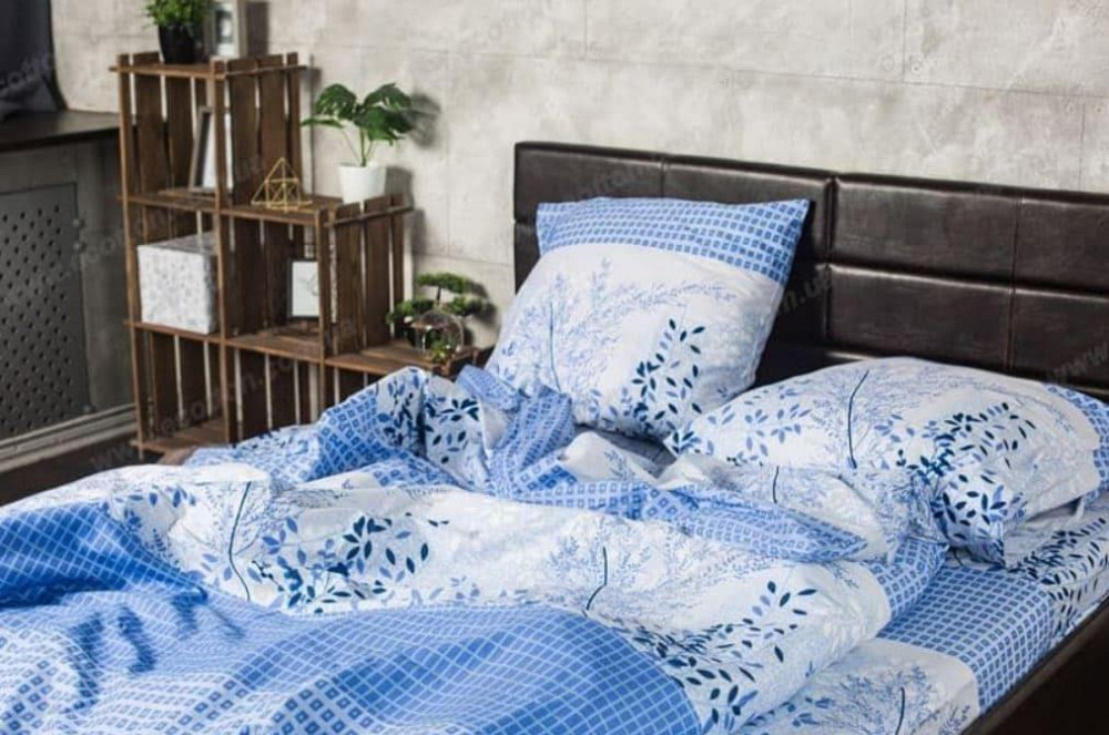 Ecotton Комплект постільної білизни Ecotton двоспальний 180х215 см блакитний (19640) Київ - фото 1