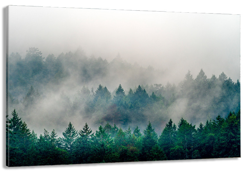 Картина холст в гостиную / спальню  Природа гір    MLP_299 Киев - изображение 1