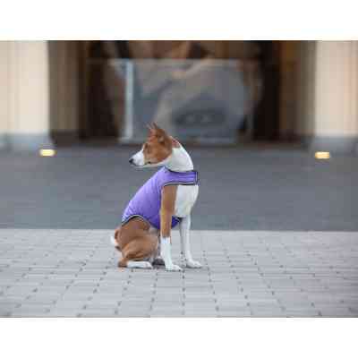 Курточка для животных Airy Vest XL фиолетовая (15459) Винница