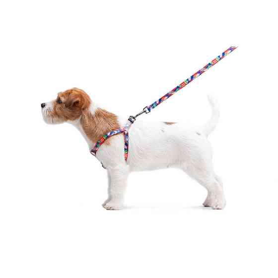 Повідець для собак нейлоновий WAUDOG Nylon, малюнок "Вітраж", Ш 15 мм, Дов 122 см Коломия