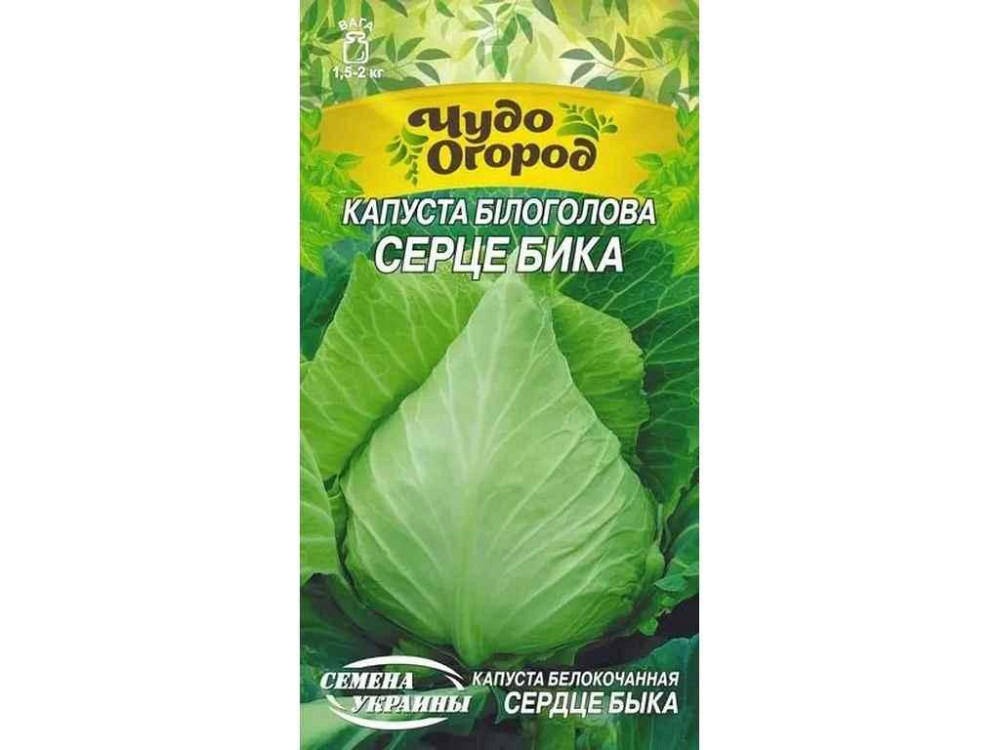 Капуста ЧудО білоголова СЕРЦЕ БИКА 1г (10 пачок) (рс) ТМ НАСІННЯ УКРАЇНИ Київ - фото 1