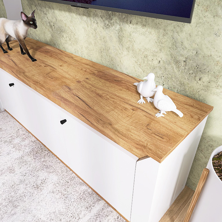 Тумба под телевизор Эверест Нордик ТВ-1500 Белый + Дуб крафт золотой (DTM-5541) Львов - изображение 6