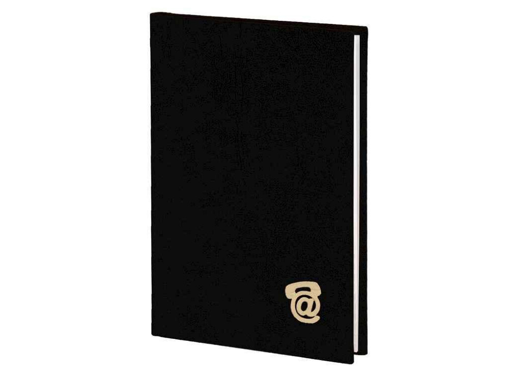Записная книжка В7 80арк. (85х127) клетка, высечка алф., обкл. баладек, черный 214-P-0510 ТМ ПОЛИГРАФИСТ Киев - изображение 1