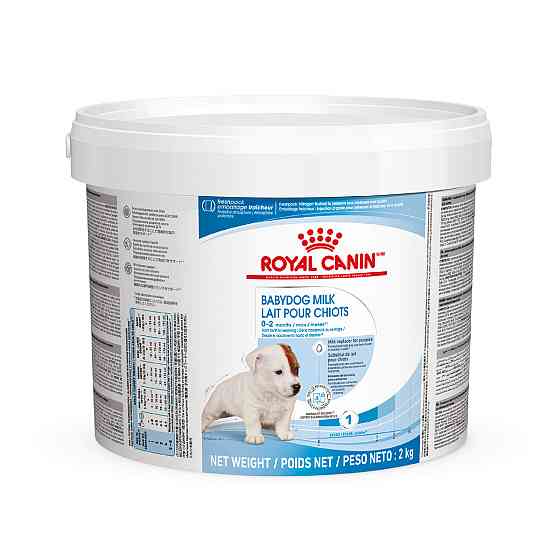 Молоко для новонароджених собак ROYAL CANIN BABYDOG MILK 0.4 кг Киев