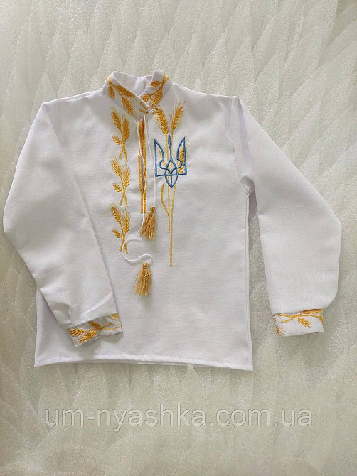 Хлопчача натуральна вишиванка "Колоски-тризуб" 98-164 Кривий Ріг - фото 4