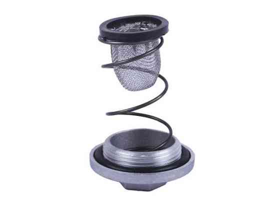 Кришка зливу оливи в комплекті на чотиритактний двигун Мукачево