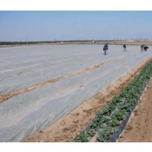 Агроволокно 23гр/м2 (6,35м) 100м (рулон) білий Агрін Житомир