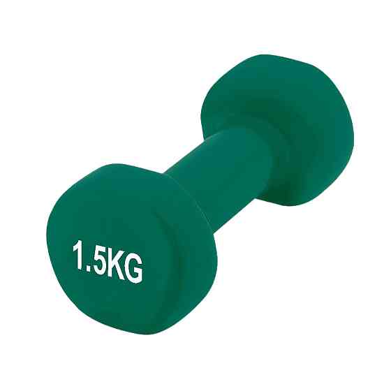 Гантель вінілова PowerPlay 4125 Achilles 1.5 кг. Зелена (1шт.) Кам'янське
