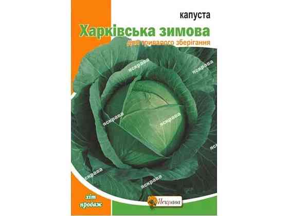 Капуста белокоченная харковская зимняя макси (10 пачек) 10г ТМ ЯСКРАВА Киев