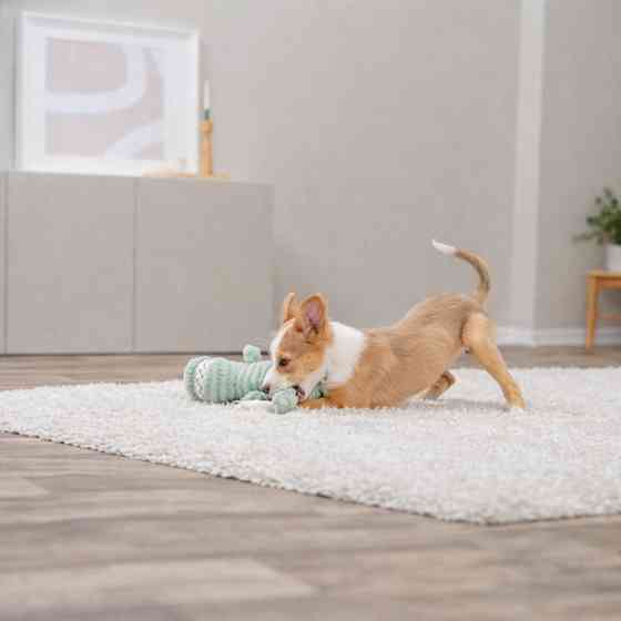 Іграшка Trixie для собак Крокодил з пискавкою плюш 32 см Київ