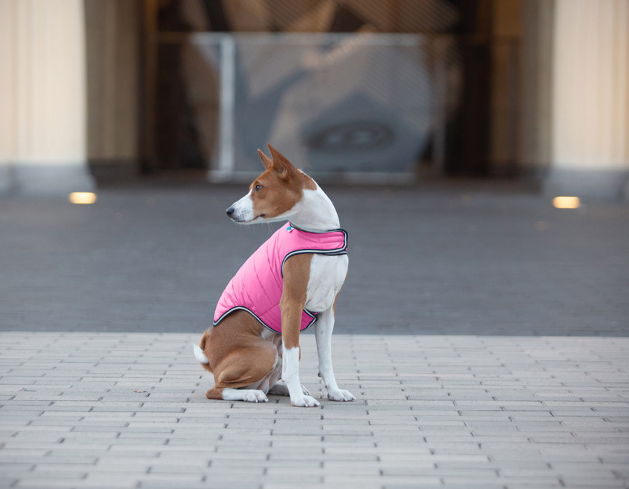 Курточка-накидка для собак AiryVest, M, B 52-62 см, С 36-47 см рожевий Коломыя - изображение 2