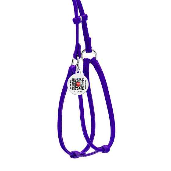 Шлея с поводком для собак кожаная WAUDOG Glamour с QR паспортом, круглая, Д 6 мм, А 42-60 см, В 46-64 см фиолетовый Киев