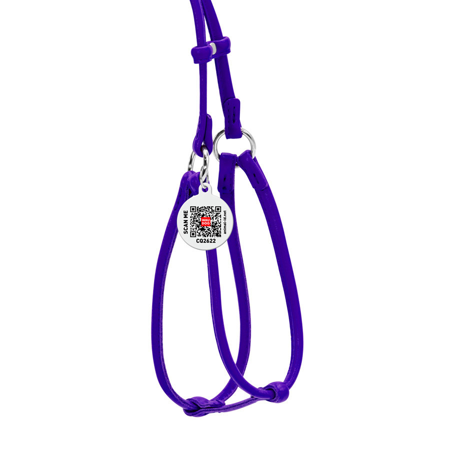 Шлея с поводком для собак кожаная WAUDOG Glamour с QR паспортом, круглая, Д 6 мм, А 42-60 см, В 46-64 см фиолетовый Киев - изображение 3