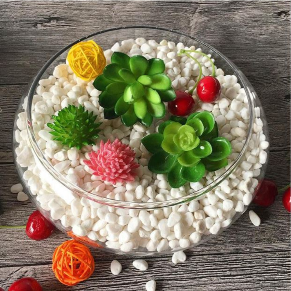 Ємність для флораріуму діаметр 25 см Чаша для флораріуму, мосаріуму, квіткових композицій Одеса - фото 5