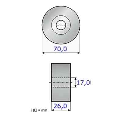 Ролик натяжителя ремня INA 531 0891 10 Винница