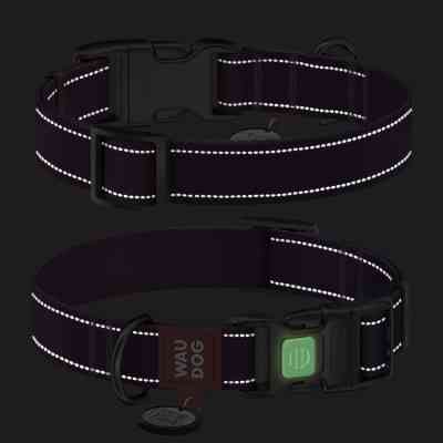 Нашийник для тварин WAUDOG Nylon Mono з QR паспортом, пластиковий фастекс M фіолетовий (52109) Вінниця