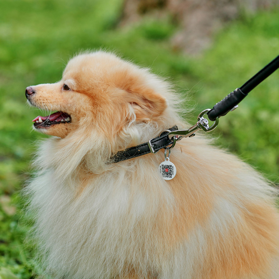 Нашийник для собак шкіряний WAUDOG Soft з QR паспортом, круглий, Д 8 мм, Дов 20-25 см чорний Коломыя - изображение 5