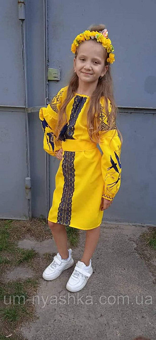 Дитяча вишита сукня з ластівками 104-152 Кривой Рог - изображение 7