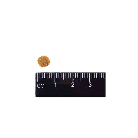 , 18 кг Киев