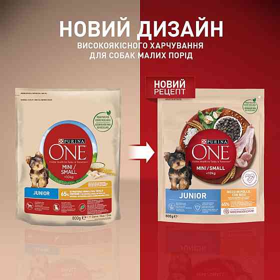 Сухой корм PURINA ONE Mini/Small Junior для щенков мелких пород, с курицей, 800 г Киев
